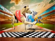 Crazy Dog Racing Game 2020